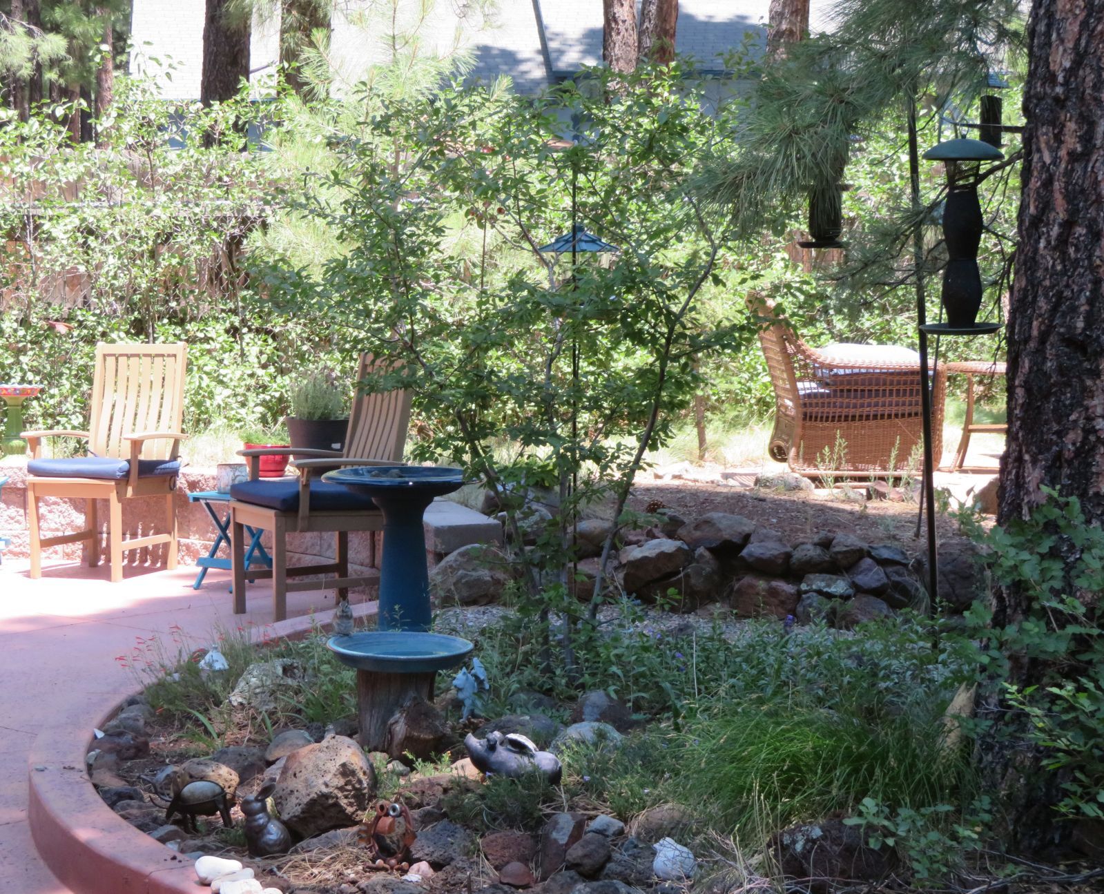 Backyard bubble